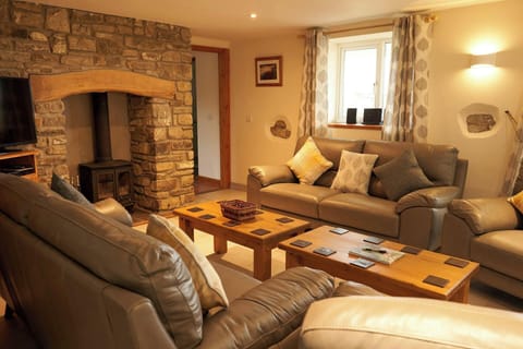 Lounge with sofas, armchair, fireplace, TV
