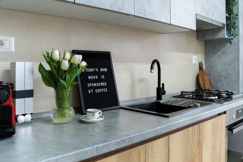Premium Apartment | Private kitchen | Fridge, oven, stovetop, dishwasher