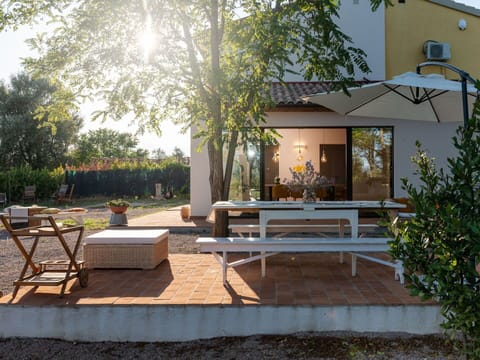 Plant, Property, Building, Window, Shade, Road Surface, Sky, Outdoor Furniture, Tree, Architecture