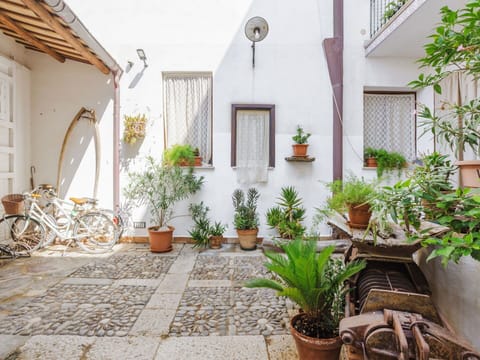 Plant, Building, Flowerpot, Window, Houseplant, Interior Design, Grass, Residential Area, Real Estate, Wood