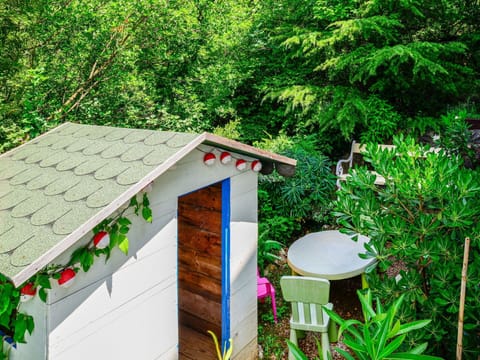 Property, Plant Community, Plant, Leaf, Botany, Nature, Natural Environment, Wood, Natural Landscape, Vegetation