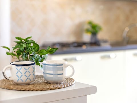Tableware, Serveware, Flowerpot, Cup, Porcelain, Kitchen, Ceramic, Dishware, Houseplant