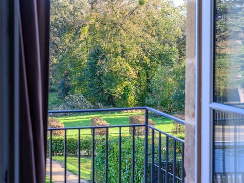 Plant, Property, Window, Building, Leaf, Wood, Shade, Interior Design, Sunlight, House