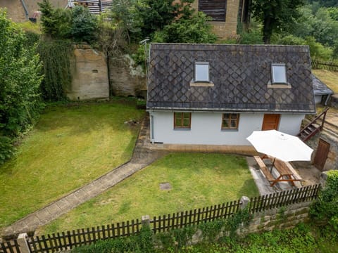 Plant, Property, Building, Window, House, Land Lot, Tree, Grass, Fence, Wood