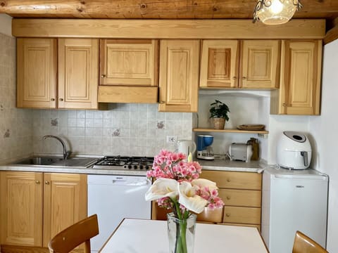 Plant, Table, Furniture, Property, Flowerpot, Building, Houseplant, Shade, Outdoor Furniture, Architecture