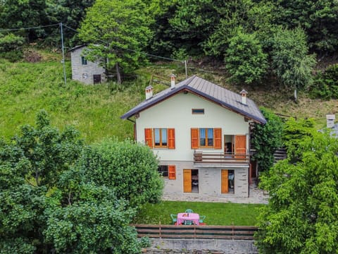 Plant, Window, Property, Building, Nature, Tree, House, Vegetation, Land Lot, Natural Landscape