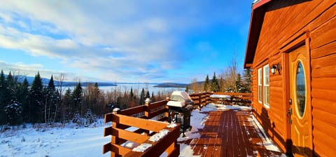 Nature Views from the Porch