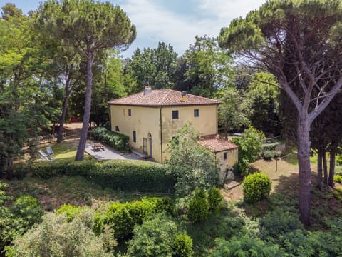 Sky, Plant, Furniture, Plant Community, Table, Natural Landscape, Chair, Land Lot, Outdoor Furniture, Tree