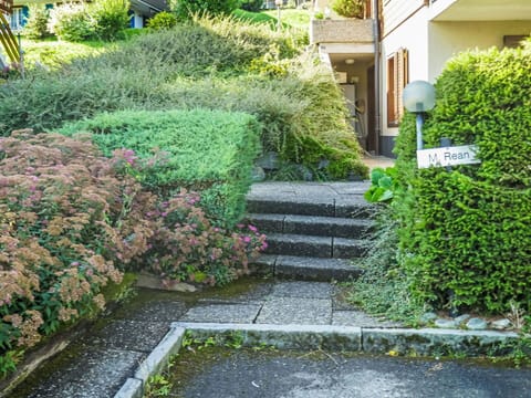 Shrub, Garden, Plant Community, Groundcover, Spring, Hedge, Landscaping, Yard, Backyard