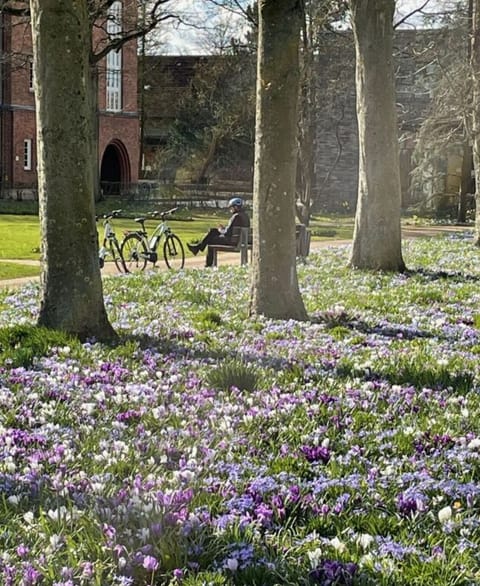 Immediate Surroundings [summer] (<1 km)