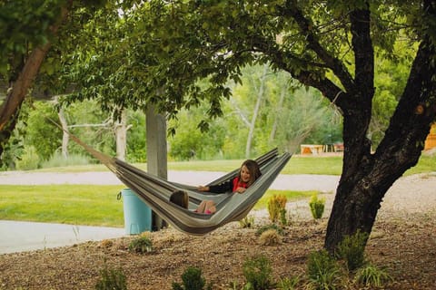 Unwind in the shady hammock—perfect for a peaceful nap or reading under the trees.