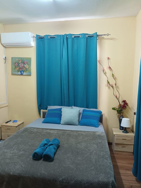 Basic Room, 1 Double Bed | Desk, blackout drapes, iron/ironing board, WiFi (free)