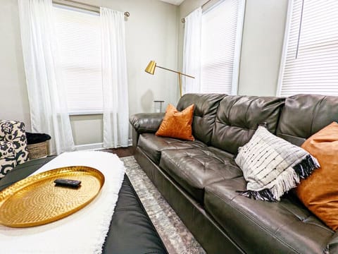 Comfy Living room Sleeper Sofa