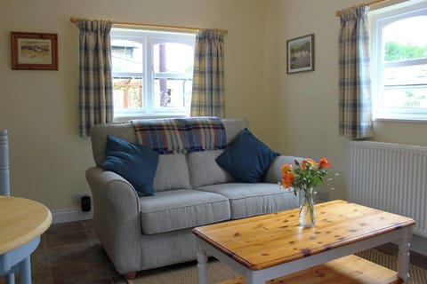 Sofa with coffee table and flowers in a vase, 2 windows and a radiator