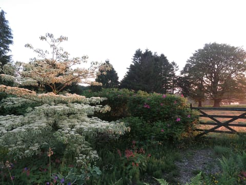 Sunrise in the grounds at Blaenfforest Granary