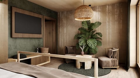 Flat-screen TV, toys