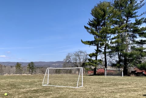 Two soccer nest in back yard for playing.