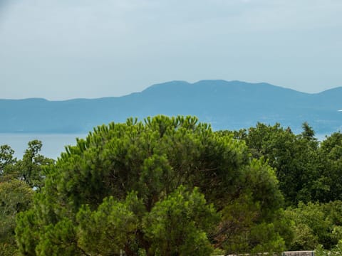 Sky, Plant Community, Mountain, Natural Landscape, Highland, Grass, Tree, Mountainous Landforms, Cumulus, Horizon