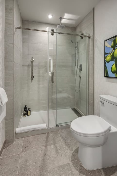 Shower, free toiletries, hair dryer, bathrobes