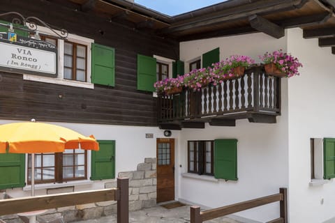 Building, Plant, Property, Flower, Window, Flowerpot, Wood, Houseplant, Interior Design, Architecture