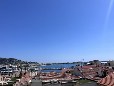 view