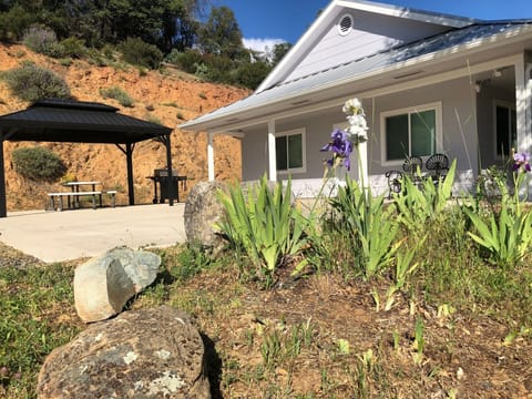Front of Lilac with Gazebo, Gas BBQ, Picnic table, and Iris's in bloom.