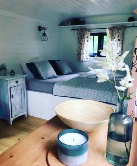 Traditional Cabin, Non Smoking, Kitchenette | 1 bedroom