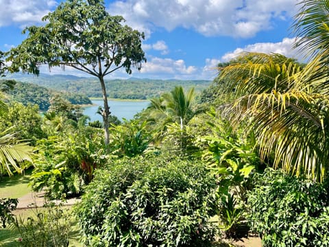 Comfort Suite, Lake View, Tower | Terrace/patio