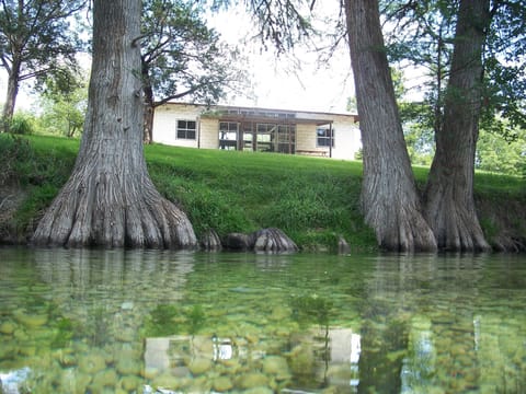 View from the River