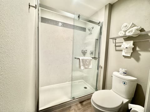 Shower, towels, soap, toilet paper