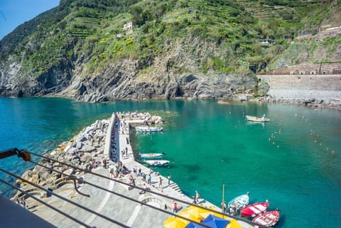 Maemuna Sea View Apartment Apartment in Vernazza