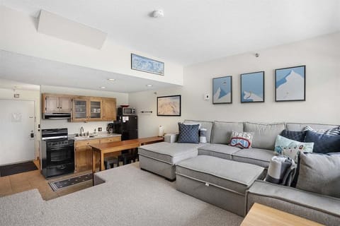 Living / Kitchen Area
