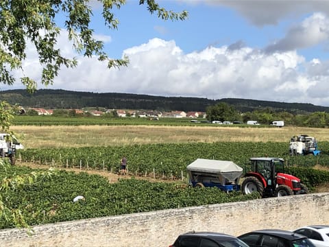Land view from property