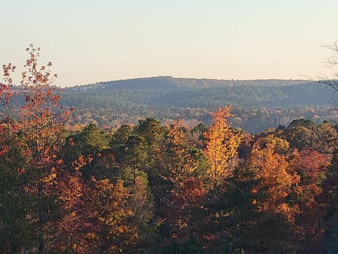 Camp less than a mile from Kirby Landing, Cowhide Cove Mountain Views Campground/ 
RV Resort in Arkansas