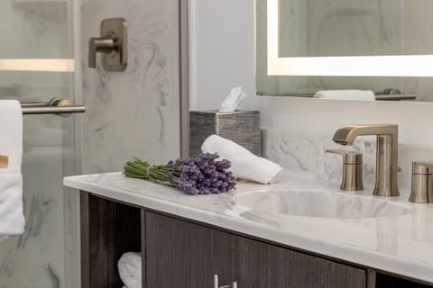 Shower, free toiletries, hair dryer, bathrobes