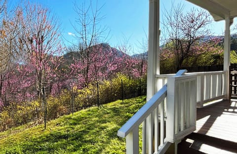 Springtime view with redbud flowering trees!