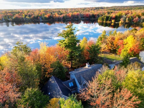 Welcome to Tranquil Waterside!