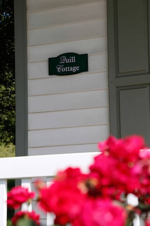 4ea959c5-4bfb-43ef-8081-a8ec0624d0fd