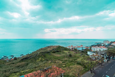 Beach/ocean view