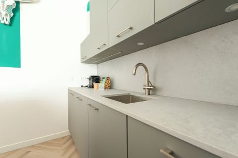 Modern kitchen featuring sleek cabinetry, a polished countertop, and a functional layout.