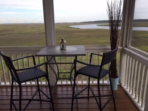 Screened Porch off Primary Suite