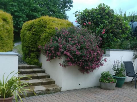 Garden with patio, garden wall, steps and shrubs