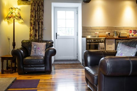 Leather armchairs and floor lamp. Door leading to garden