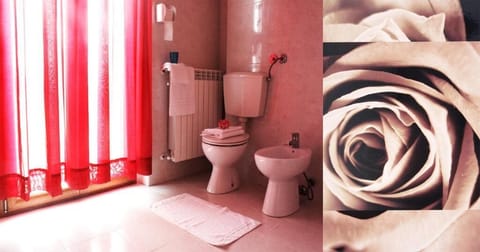 Basic Double Room | Bathroom | Hair dryer