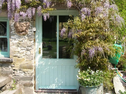 Door into The Old Mill surrounded by Wisteria