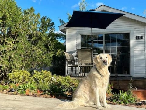 Dog-Welcoming Oak Cottage