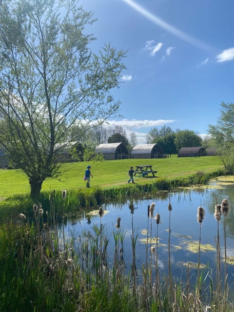 Glamping pods overlook our fishing lake