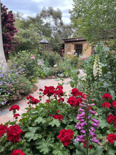 The courtyard cottage garden in spring.