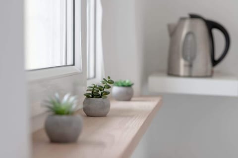 A countertop scene with a small potted plant and electric kettle next to a window, offering soft daylight.

