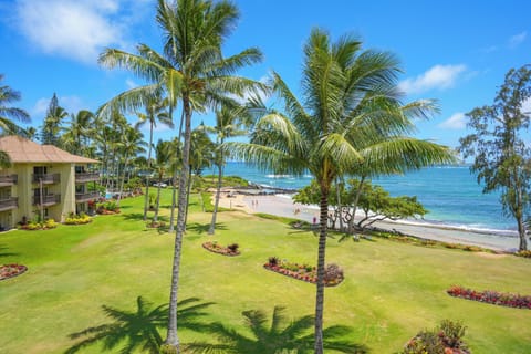 View from Lanai